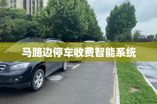 马路边停车收费智能系统 马路边停车收费智能系统